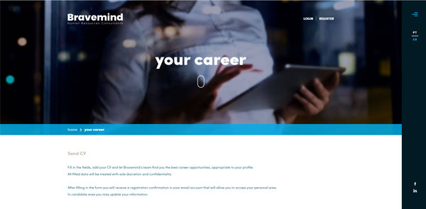 人力資源咨詢服務(wù)網(wǎng)站開(kāi)發(fā)